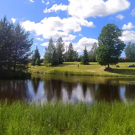 Ives Camping